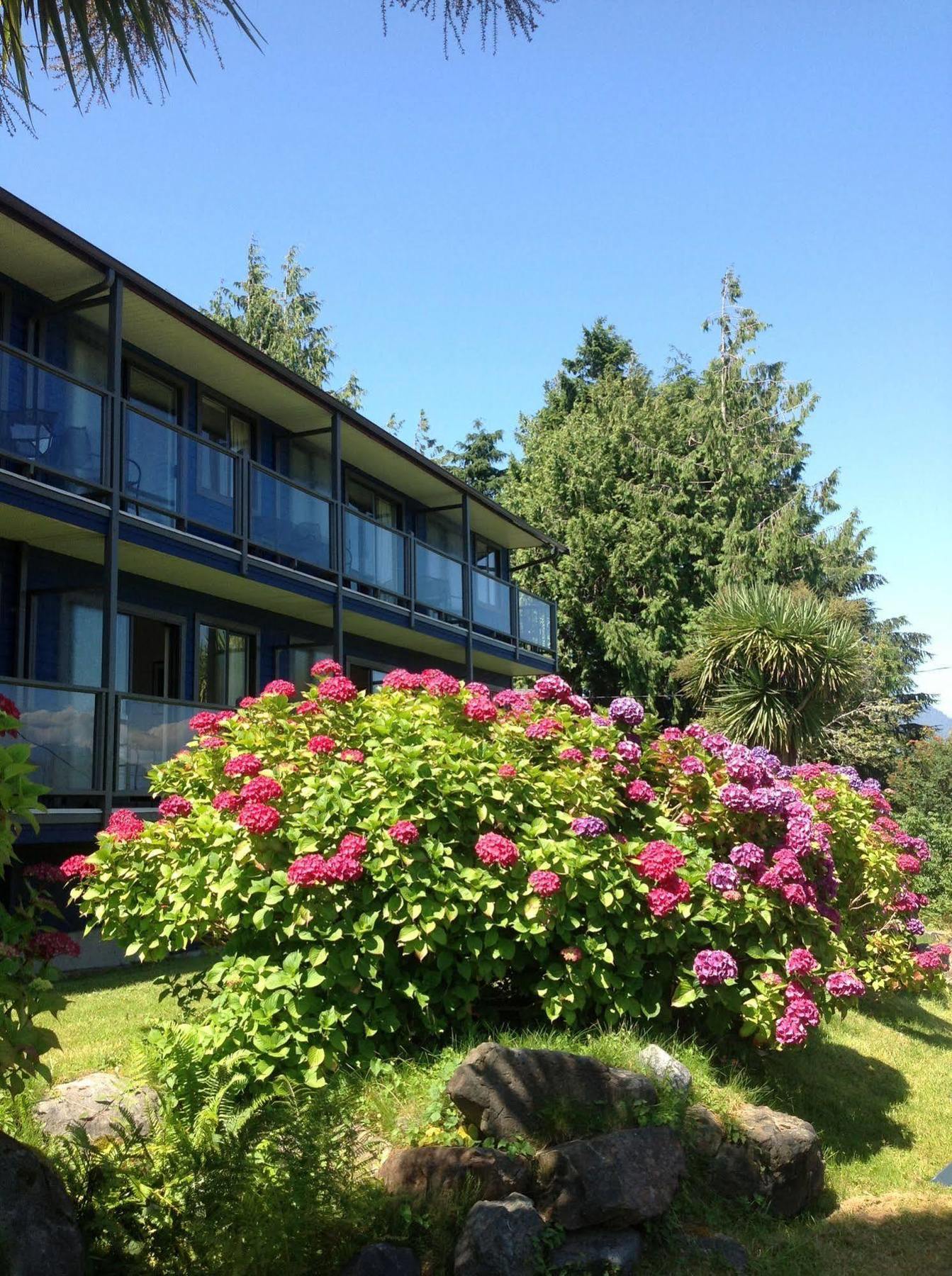 Tofino Motel Harbourview Exterior foto